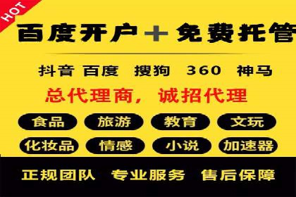 竞价推广公司的策略布局：某行业领导品牌的成功案例